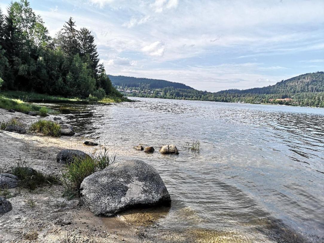 C1 Albmatte-Fewo Sauna, Hallenbad Aussenbecken Massagen Nebenan Menzenschwand-Hinterdorf Buitenkant foto