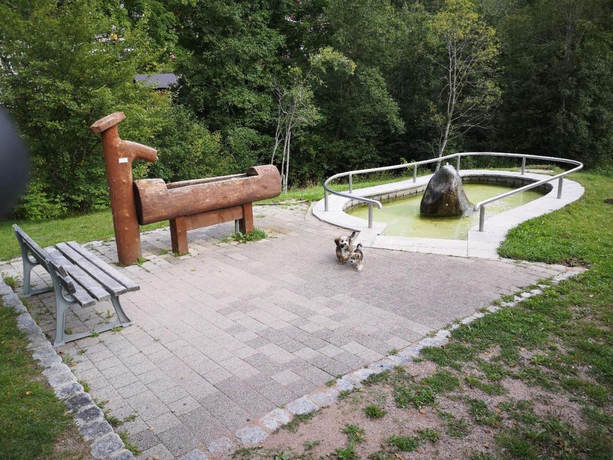 C1 Albmatte-Fewo Sauna, Hallenbad Aussenbecken Massagen Nebenan Menzenschwand-Hinterdorf Buitenkant foto