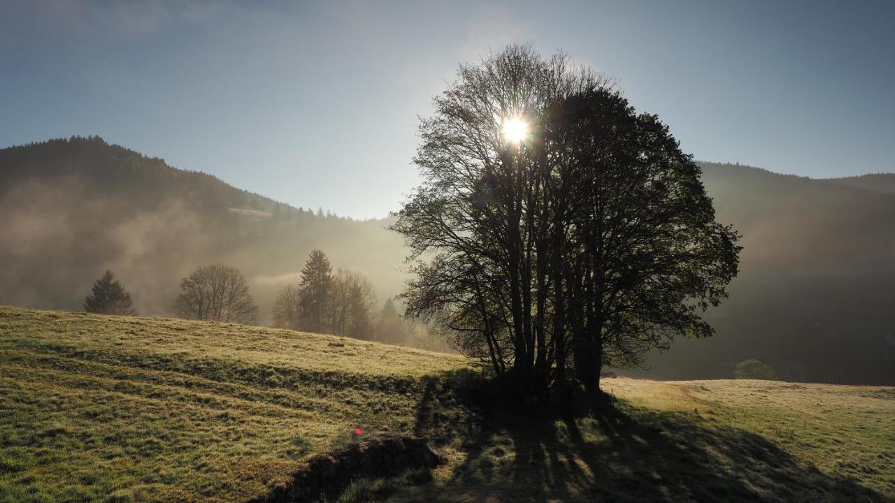 C1 Albmatte-Fewo Sauna, Hallenbad Aussenbecken Massagen Nebenan Menzenschwand-Hinterdorf Buitenkant foto
