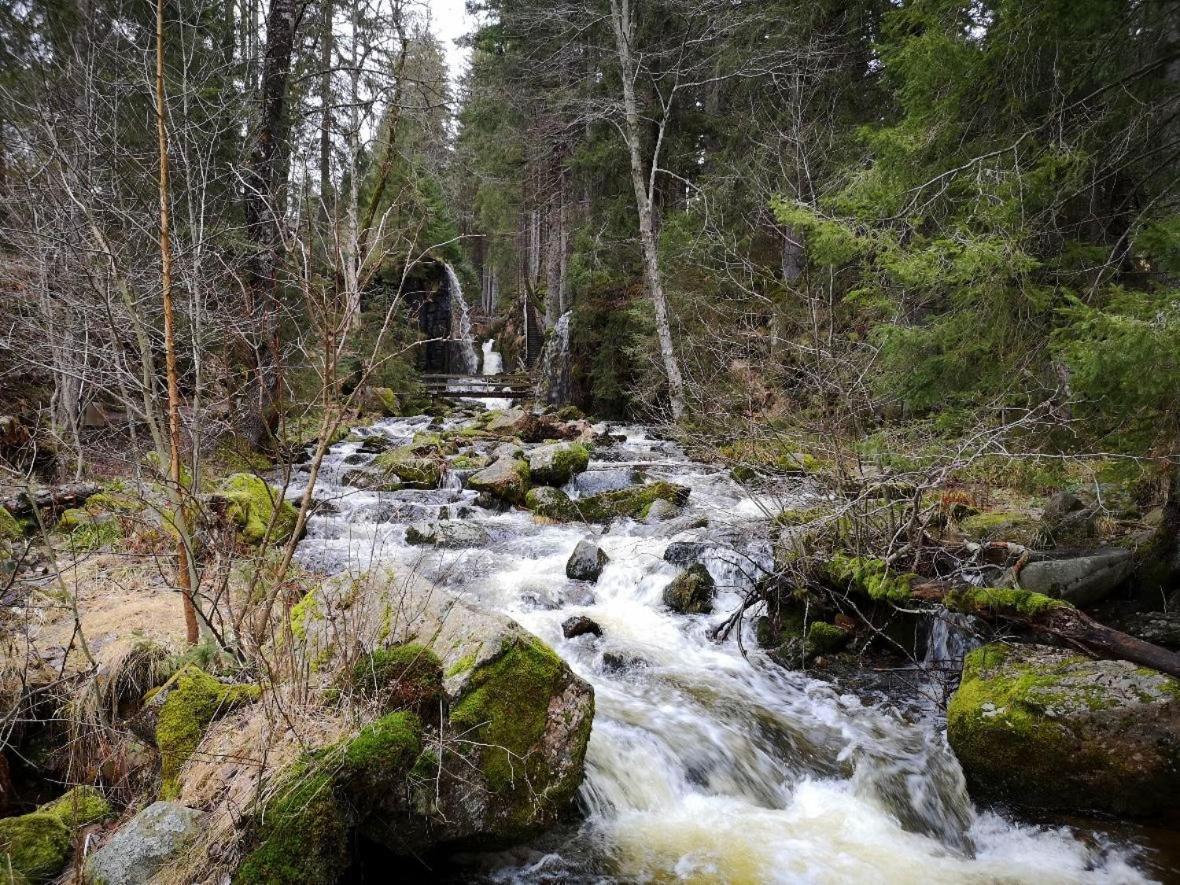 C1 Albmatte-Fewo Sauna, Hallenbad Aussenbecken Massagen Nebenan Menzenschwand-Hinterdorf Buitenkant foto