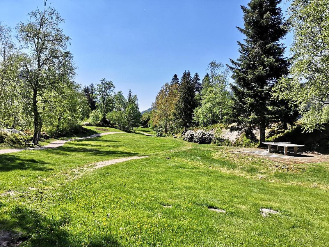 C1 Albmatte-Fewo Sauna, Hallenbad Aussenbecken Massagen Nebenan Menzenschwand-Hinterdorf Buitenkant foto