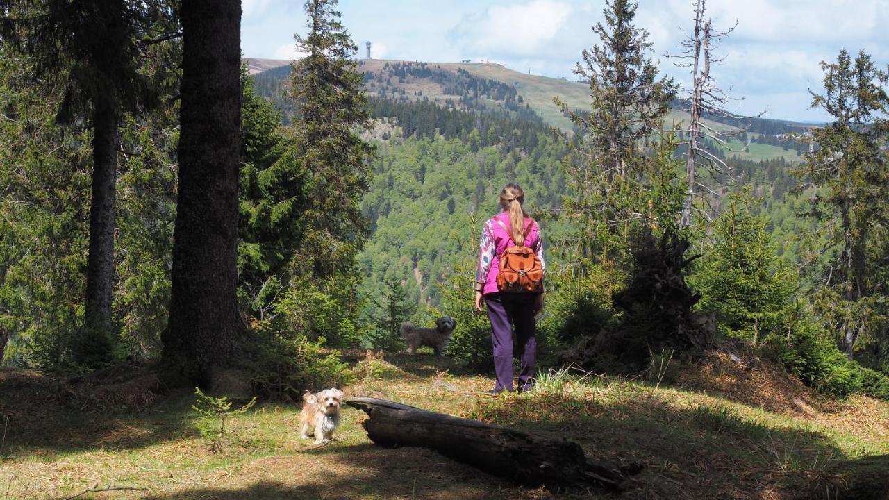 C1 Albmatte-Fewo Sauna, Hallenbad Aussenbecken Massagen Nebenan Menzenschwand-Hinterdorf Buitenkant foto