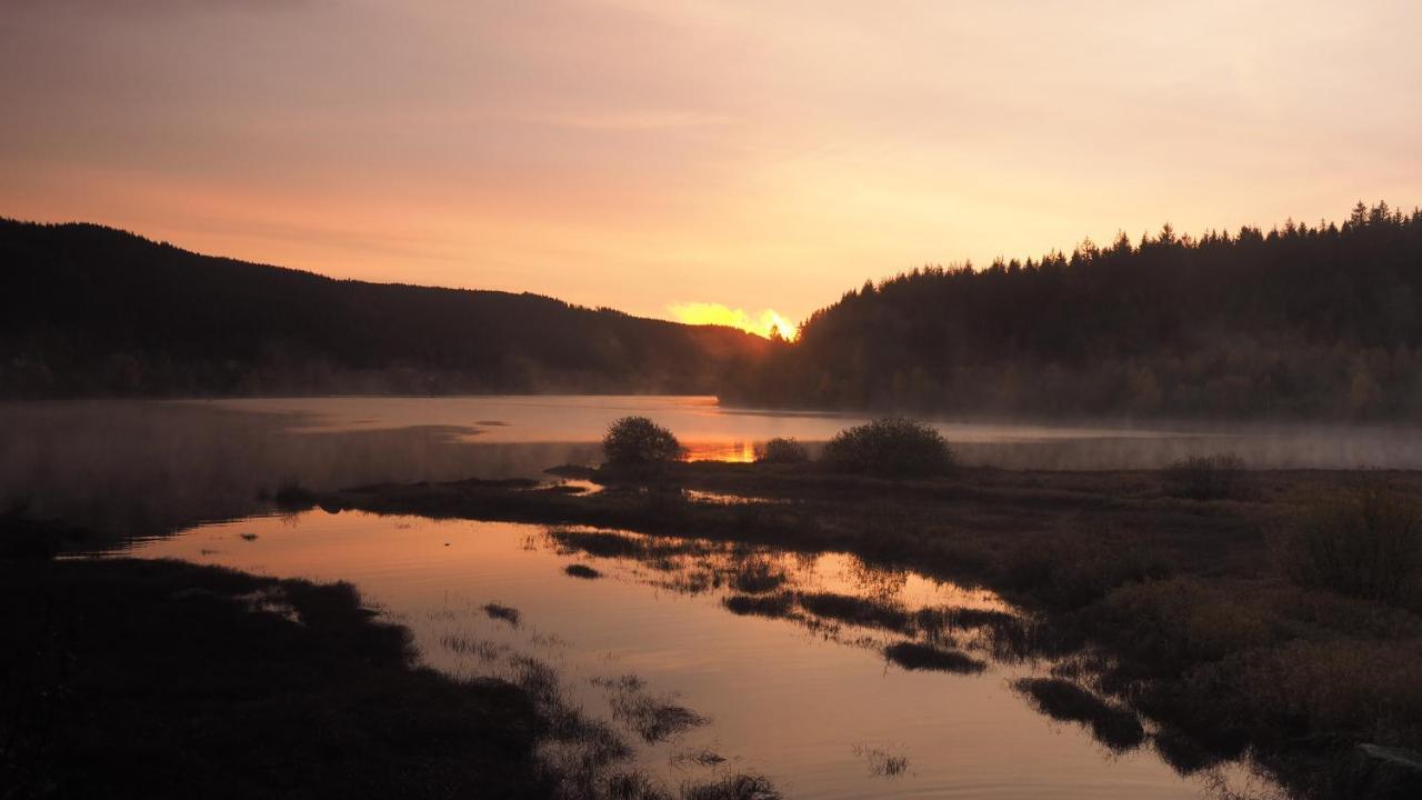 C1 Albmatte-Fewo Sauna, Hallenbad Aussenbecken Massagen Nebenan Menzenschwand-Hinterdorf Buitenkant foto