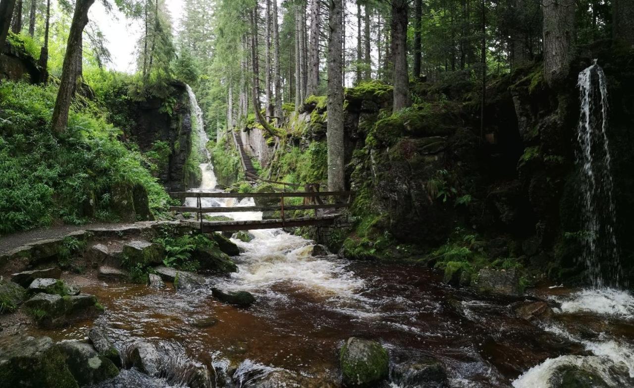 C1 Albmatte-Fewo Sauna, Hallenbad Aussenbecken Massagen Nebenan Menzenschwand-Hinterdorf Buitenkant foto
