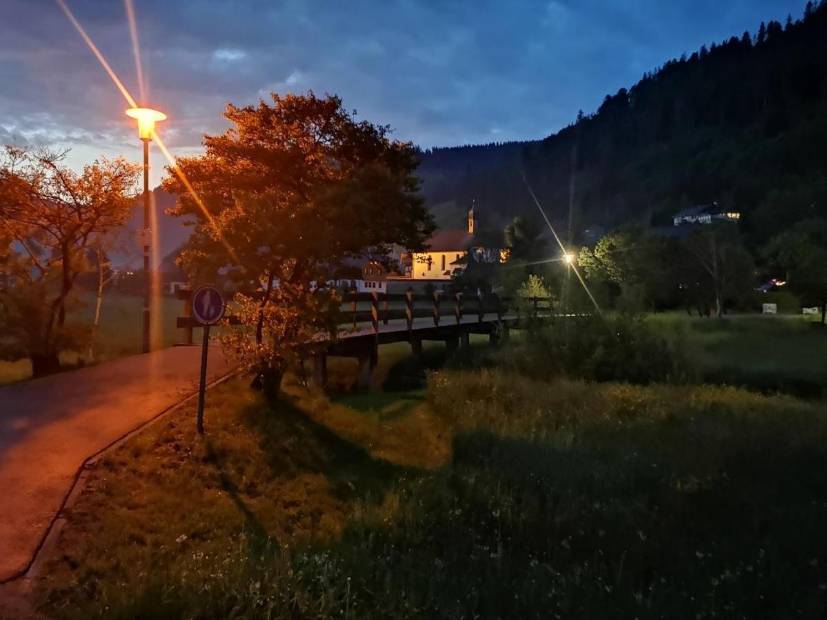 C1 Albmatte-Fewo Sauna, Hallenbad Aussenbecken Massagen Nebenan Menzenschwand-Hinterdorf Buitenkant foto