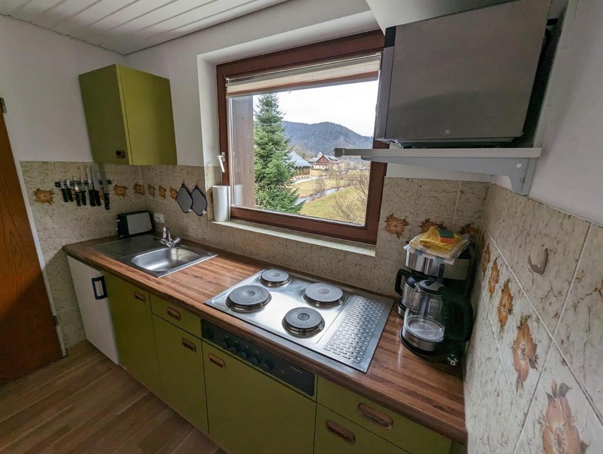 C1 Albmatte-Fewo Sauna, Hallenbad Aussenbecken Massagen Nebenan Menzenschwand-Hinterdorf Buitenkant foto