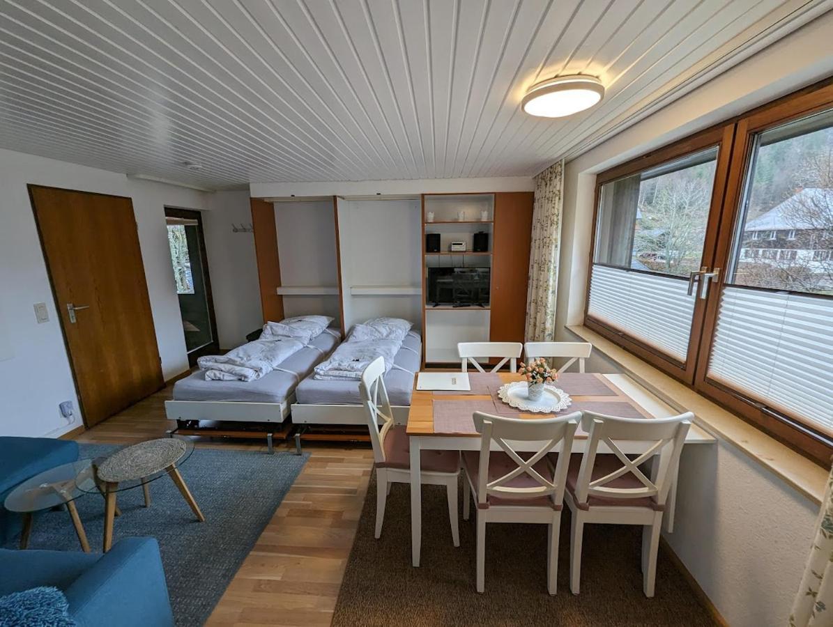 C1 Albmatte-Fewo Sauna, Hallenbad Aussenbecken Massagen Nebenan Menzenschwand-Hinterdorf Buitenkant foto