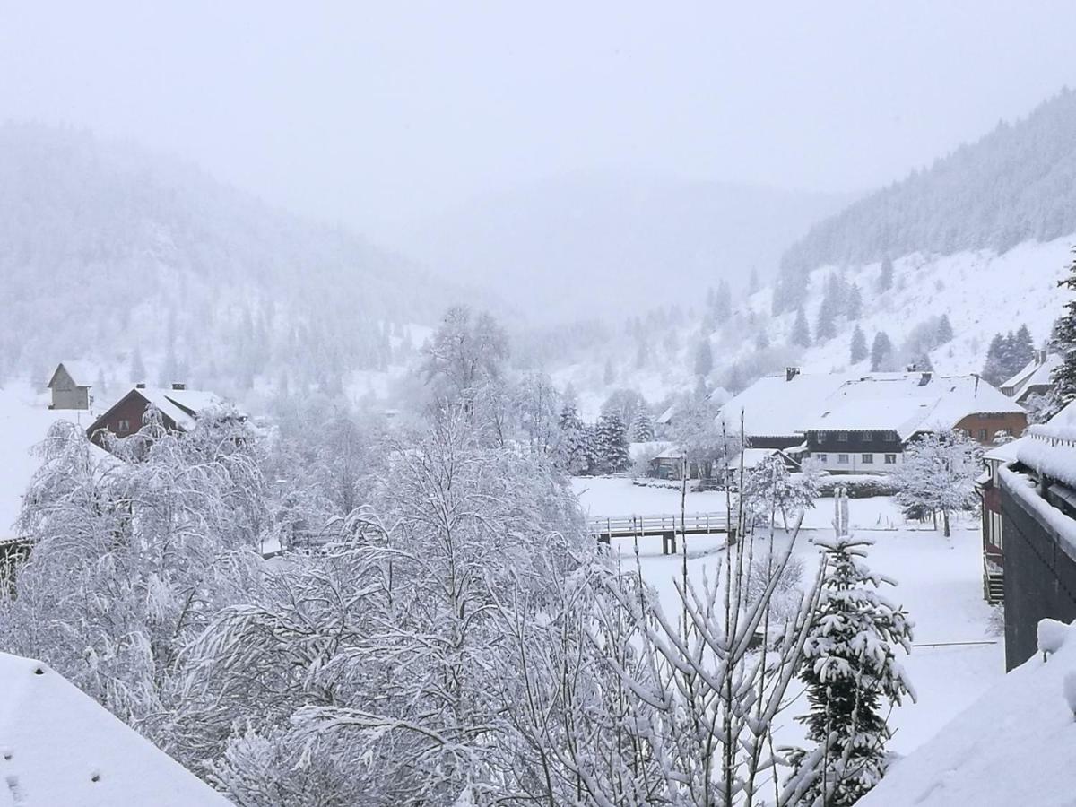 C1 Albmatte-Fewo Sauna, Hallenbad Aussenbecken Massagen Nebenan Menzenschwand-Hinterdorf Buitenkant foto