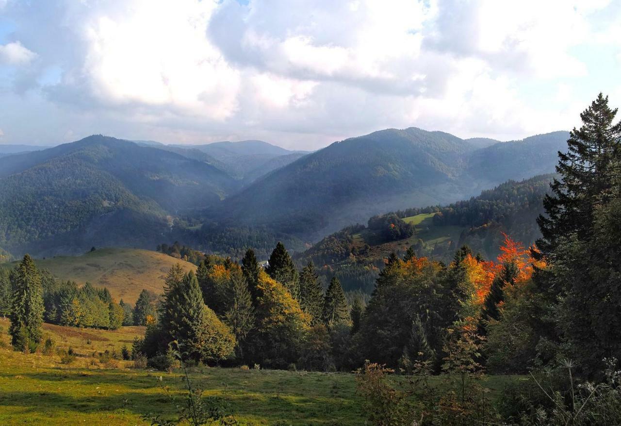 C1 Albmatte-Fewo Sauna, Hallenbad Aussenbecken Massagen Nebenan Menzenschwand-Hinterdorf Buitenkant foto