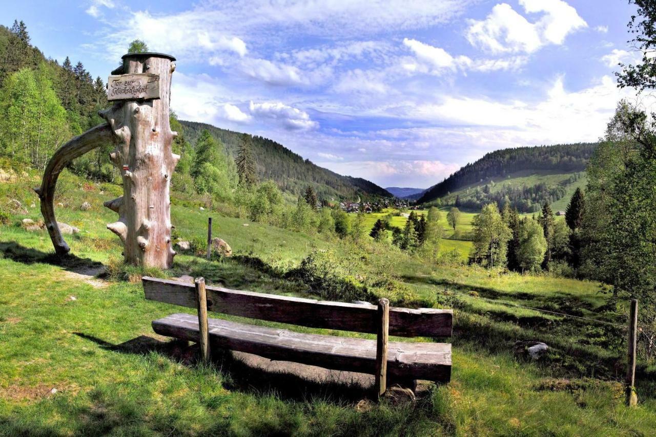 C1 Albmatte-Fewo Sauna, Hallenbad Aussenbecken Massagen Nebenan Menzenschwand-Hinterdorf Buitenkant foto