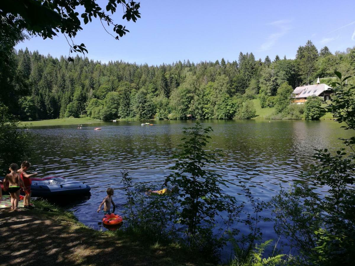 C1 Albmatte-Fewo Sauna, Hallenbad Aussenbecken Massagen Nebenan Menzenschwand-Hinterdorf Buitenkant foto