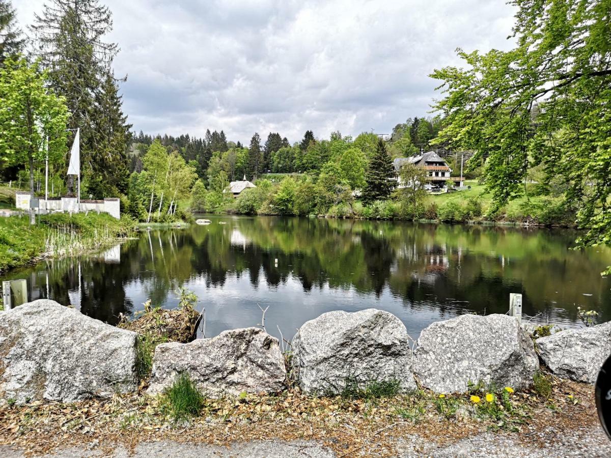 C1 Albmatte-Fewo Sauna, Hallenbad Aussenbecken Massagen Nebenan Menzenschwand-Hinterdorf Buitenkant foto