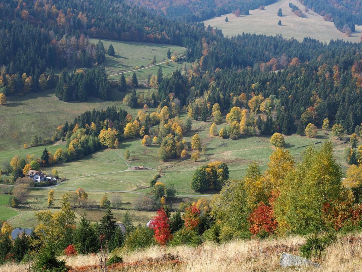 C1 Albmatte-Fewo Sauna, Hallenbad Aussenbecken Massagen Nebenan Menzenschwand-Hinterdorf Buitenkant foto